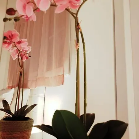 Cosy Plein Centre Apartman *